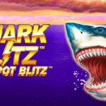 Shark Blitz Review
